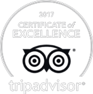 Tripadvisor 2017 Certificate of Excellence badge